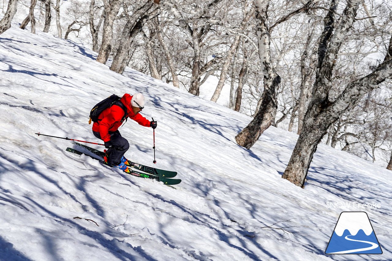 ニセコグラン・ヒラフ DYNASTAR SKI TEST RIDE DAYS Photo Session!!最高の天気に恵まれたニセコに、最高の仲間たちが集まりました☆